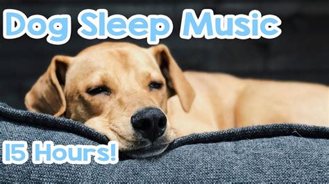 music to calm dogs youtube|calming dog music 15 hours.